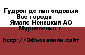 Гудрон де пин садовый - Все города  »    . Ямало-Ненецкий АО,Муравленко г.